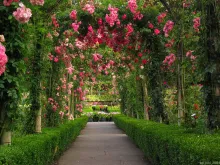 English garden